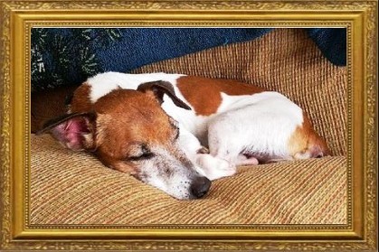 Jackie Hughes 2006-2016
